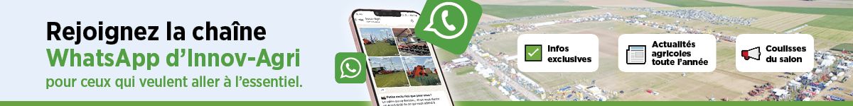 banner whatsapp